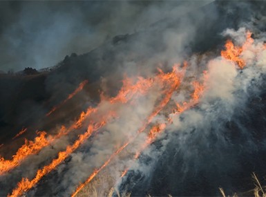 森林防火 森林防火
